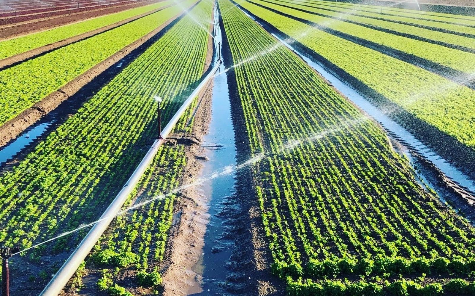 F8807F3E-D1CD-4CFE-A78F-91631551B480-qs9t2nq933i2nywinx06c77581bctr6enu09l7drf4