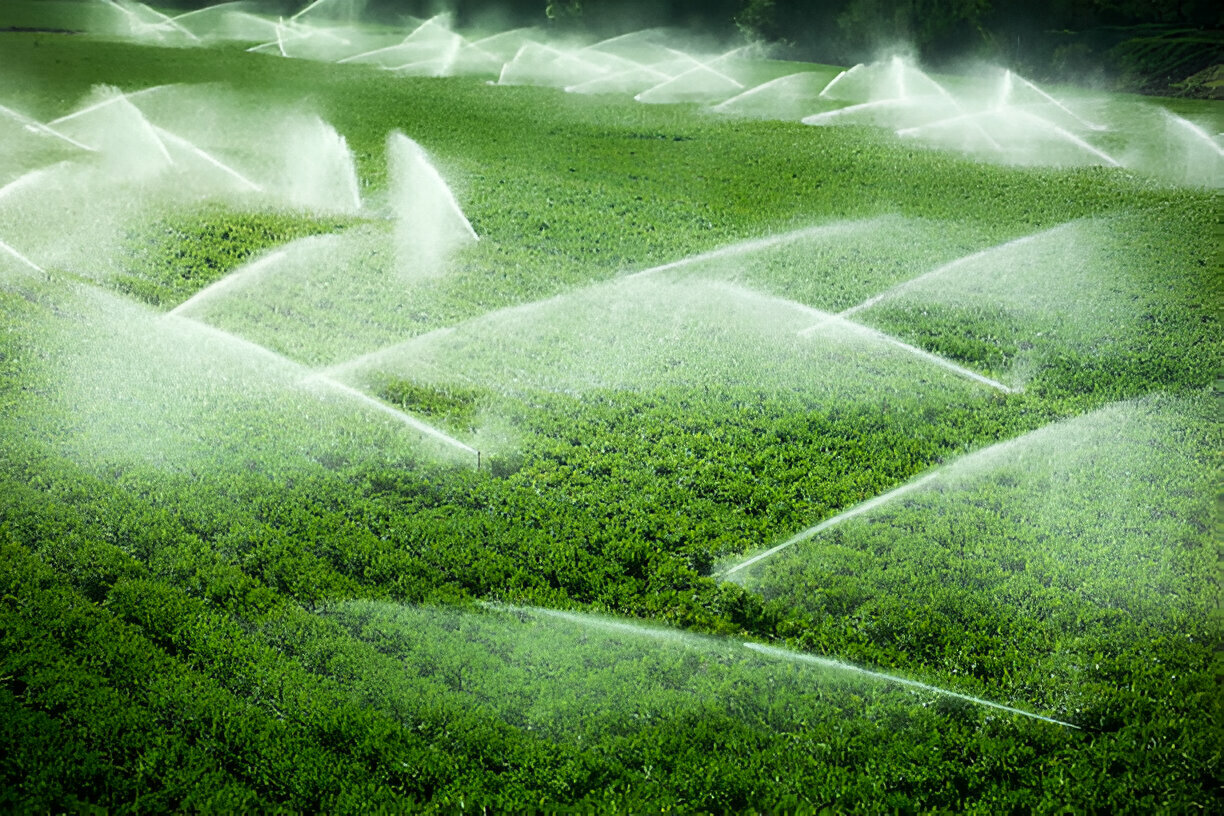 [GetPaidStock.com]-67a381859cfe9