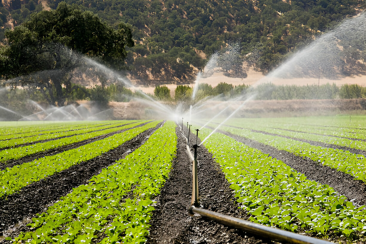 [GetPaidStock.com]-67a3bd9cc1a63